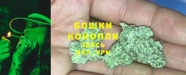 PSILOCYBIN Магас