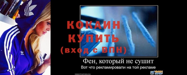 PSILOCYBIN Магас