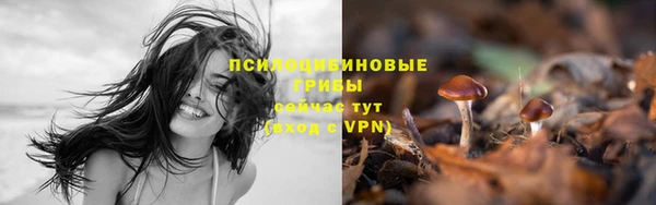 PSILOCYBIN Магас