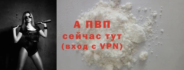 PSILOCYBIN Магас