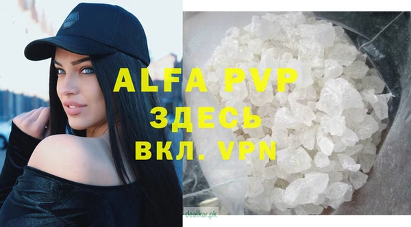PSILOCYBIN Магас