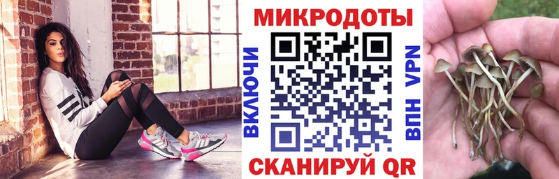 KRAKEN ССЫЛКА  Щёкино  Галлюциногенные грибы мухоморы 